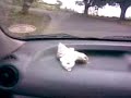 JAWAR ROAD TRIP