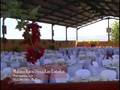 videos de Casa Rural Las Cañadas, un recinto diferente
