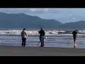 Kapiti & Horowhenua - The Nature Coast Experience Kapiti & Horowhenua - The Nature Coast Experience