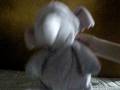 Head Banging With 5 Hairs