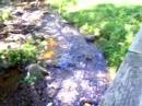 simply a babbling brook