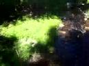 simply a babbling brook