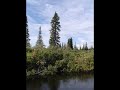Noatak Summer