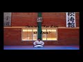 is one fights with chakos very good against the expert in martial arts sensei xu lin (9 dan in karate-do shotokan)...