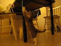 Japen ja tipen matsit.wmv
