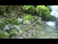 Click here to watch this video Europe in 4 min 44 sec.m4v