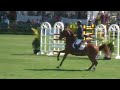 SULEYMAN DE WULF SELECTION & GUILLERMO OBLIGADO, Showpark GP SULEYMAN DE WULF SELECTION & GUILLERMO OBLIGADO, Showpark GP