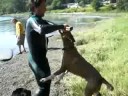 My dogs having fun @ water today