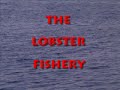 Cape Sable Island Lobster Fishing
