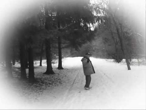 Winter in the Woods