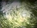 Black Mountain - Druganaut Jagjaguwar Records