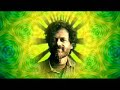 Terence McKenna : Open Doors Pt.1