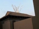 Meteor Hit Meteor Hit