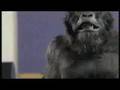 Subsource Vs Cadbury's Gorilla