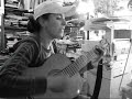 Oso de Miel