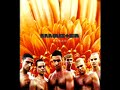 Rammstein Alben