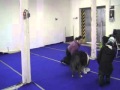 Timmy- target training