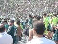 videos de MANCHA GUERREIRA.