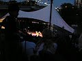 Pilobolus