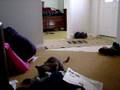 videos de maya playing with teddy