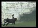SHADOW OF THE COLOSSUS