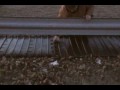 Universal Weed Cover Product Install.MP4