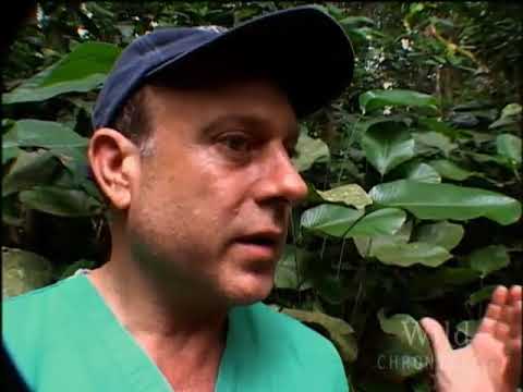 National Geographic Wild Chronicles ...