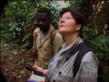 National Geographic Wild Chronicles : Gorilla Ebola