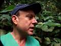 National Geographic Wild Chronicles Gorilla Ebola National Geographic Wild Chronicles Gorilla Ebola