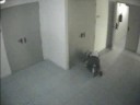 Seguridad ante todo
