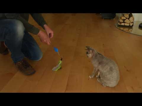 Jackson Galaxy Katzenangel Air Prey Wand