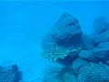 Fuerteventura-Morro Jable Hafenmauer