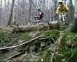 Hostyn Freeride