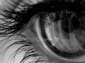 Melodie de dragoste {bestiala} [Yiruma-River Flows In You]