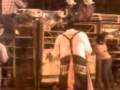 videos de Carlos Beltran vs el coraliyo.3gp