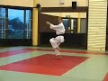 Wado Ryu Karate Kata Wanshu