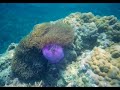 Isole Perhentian