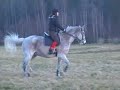 riding 180 cm horse