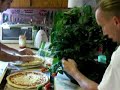 AeroGarden making pizza