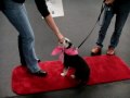Cutie Video 08