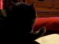Re: Steve has great legs Re: Steve has great legs