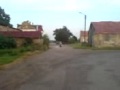 Wilga Monster Wheele Wilga Monster Wheele