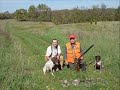 Bird Hunting Quail Pheasant German Shorthair Pointer