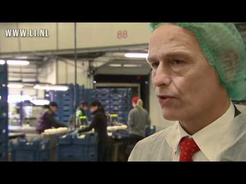 L1 KOPlopers - ZON fruit & vegetables