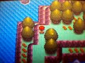 Pokemon Diamond: 