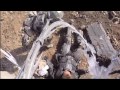 halo 3 combat part 2