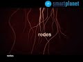 Manipular el cerebro (avance de Redes)
