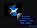 all the words to the scottish national anthem and the song for you scots to sing-along to!