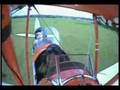 Poor-Cow-vs-Plane