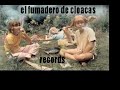 base e instrumentales new